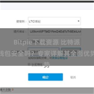 Bitpie下载资源 比特派钱包安全吗？专家详解其全面优势