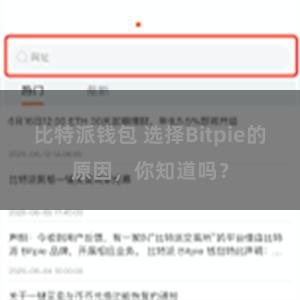 比特派钱包 选择Bitpie的原因，你知道吗？