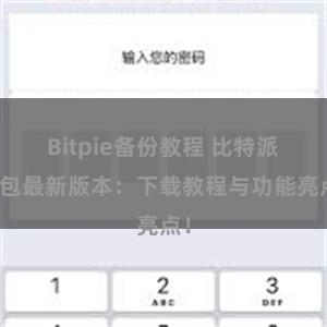 Bitpie备份教程 比特派钱包最新版本：下载教程与功能亮点！