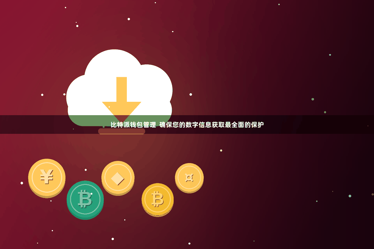 比特派钱包管理 确保您的数字信息获取最全面的保护